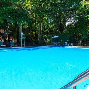 The Forest Apartments Swimming Pool