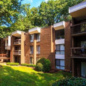 The Forest Apartments Building