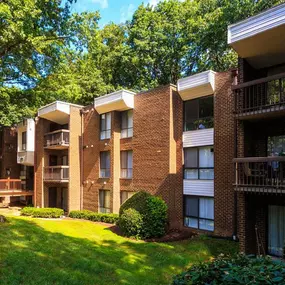 The Forest Apartments Building