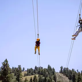 Take in the crisp alpine air on the Snow Summit Zip Line.