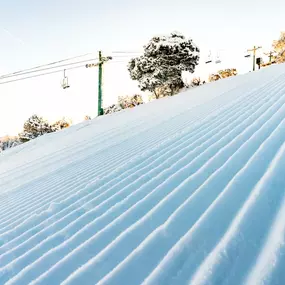 Early bird gets the freshly groomed corduroy at Snow Summit.