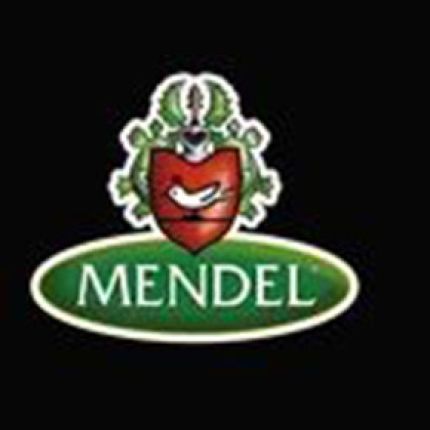 Logo da Mendelspeck