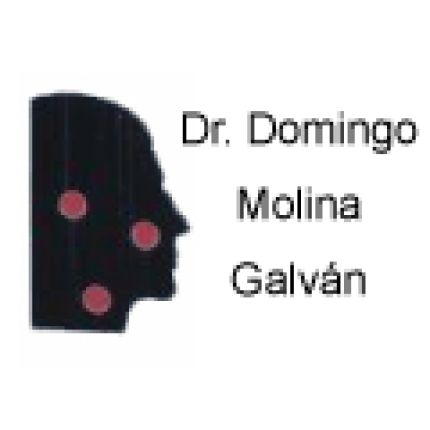 Logo von Domingo Molina Galván