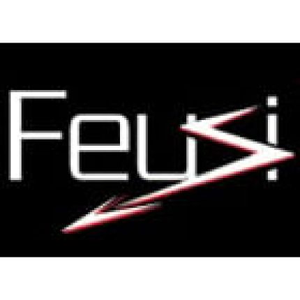 Logo fra Feusi électricité SA