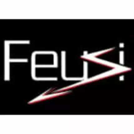 Logo da Feusi électricité SA