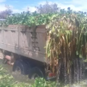 Transporte_residuos_Merida_GALANCA.jpg