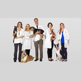 The caring and experienced staff of VCA Centreville Animal Hospital.