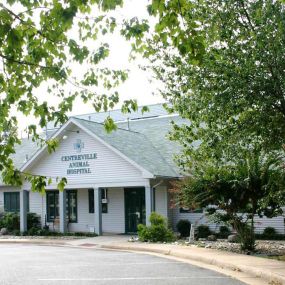 Welcome to VCA Centreville Animal Hospital!