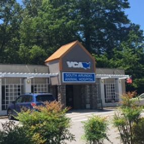 Welcome to VCA South Arundel Veterinary Hospital!