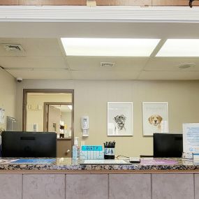 Bild von VCA South Arundel Animal Hospital