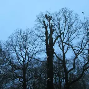 Bild von David Denamur