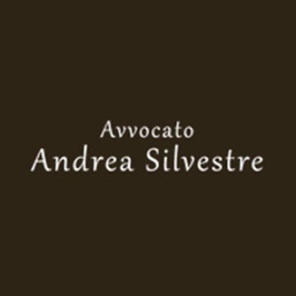 Λογότυπο από Avvocato Andrea Silvestre