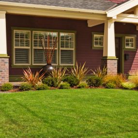 Sunshine Lawn Care Services and Maintenance, Landscape Company Specialized in Grass cutting & Seeding, Hedging, Trimming, Flower Planting, Gravel Paths, and Walkways, Irrigation Repairs, Mulching, Sod Installation, Yard Waste Removal, Tree Trimming and much more.