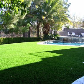 Sunshine Lawn Care Services and Maintenance, Landscape Company Specialized in Grass cutting & Seeding, Hedging, Trimming, Flower Planting, Gravel Paths, and Walkways, Irrigation Repairs, Mulching, Sod Installation, Yard Waste Removal, Tree Trimming and much more.