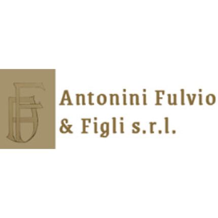 Logo de Antonini Fulvio e Figli Srl