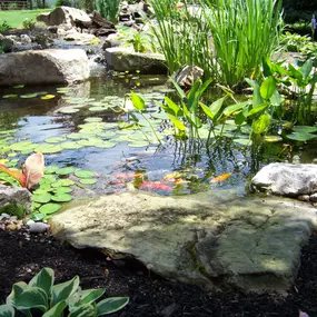 Bild von H2O Designs