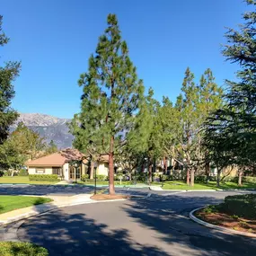 Bild von Evergreen Apartments