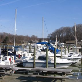 Bild von Tantallon Marina