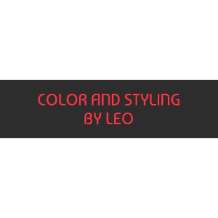 Logotipo de Color and Styling by Leo