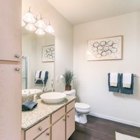 Bathrooms with Raised Bowl Sinks at Aventura at Forest Park, St. Louis, MO 63110