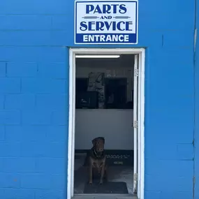 Dog sitting in the doorway of the Parts and Service entrance.