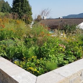 Bild von Trais Fluors Gartenbau GmbH