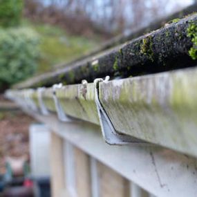 Gutter cleaning is a necessity in the Pacific Northwest at least once or twice a year.  Failing to clean your gutters will lead to clogs - and clogged gutters can actually cause roof leaks, as water will back up under the shingles to the substrate and leak into any seam that is in the path of least resistance.