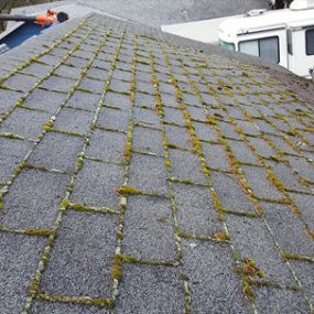 Moss, algae, lichens and mildew break down the bond on the asphalt shingles and granules. Moss can also degrade and break down your shingles removing valuable years off the life of your roof. We have created the safest, least abrasive technique to remove your moss by hand scrubbing the parts of the shingles that have growth.
