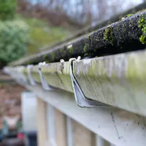 Gutter cleaning is a necessity in the Pacific Northwest at least once or twice a year.  Failing to clean your gutters will lead to clogs - and clogged gutters can actually cause roof leaks, as water will back up under the shingles to the substrate and leak into any seam that is in the path of least resistance.