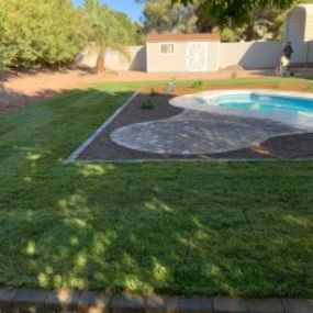 New Backyard Sod in Las Vegas