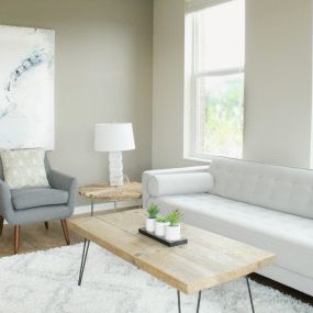 White Spacious Living Room