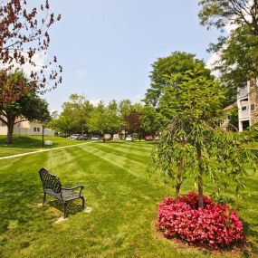 Peaceful Courtyard