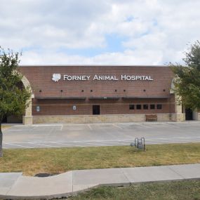Welcome to VCA Forney Animal Hospital!