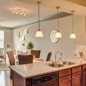 Apartments with elegant finishes at LangTree Lake Norman.