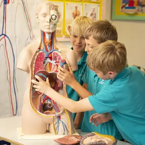 Prague British International School - Primary - STEAM