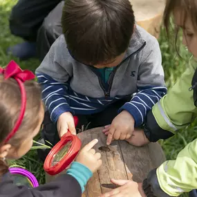 Prague British International School - Early Years Forest School