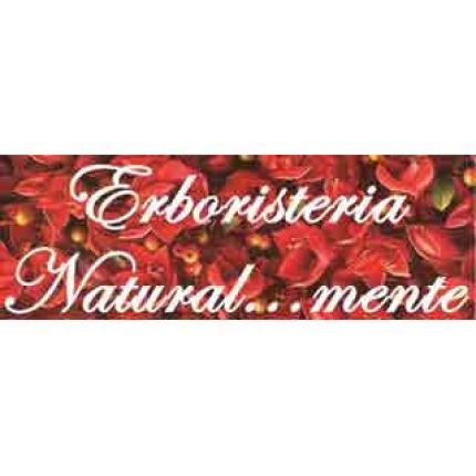Logotipo de Erboristeria Natural...Mente