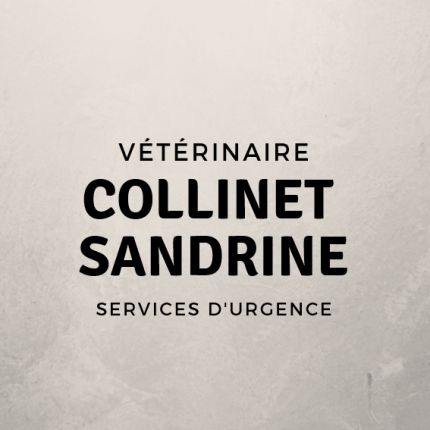 Logo von Collinet Sandrine