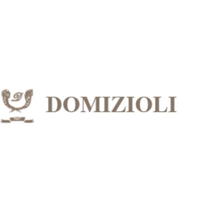 Logo fra Domizioli