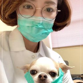 Dr. Christine Hong & Paulie, The Therapy Dog