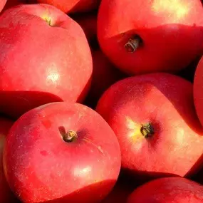 Bild von Farma Lexman