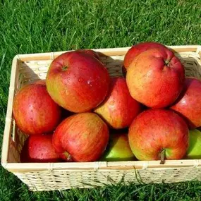 Bild von Farma Lexman