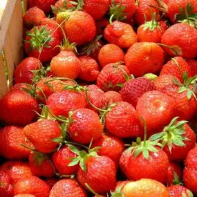 Bild von Farma Lexman