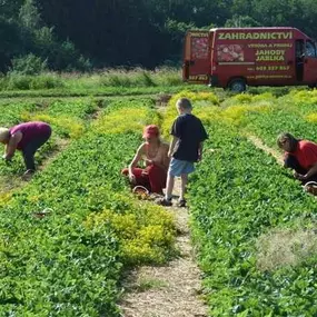 Bild von Farma Lexman