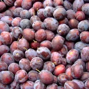 Bild von Farma Lexman