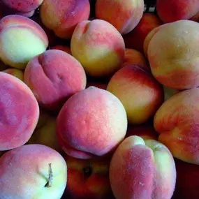 Bild von Farma Lexman