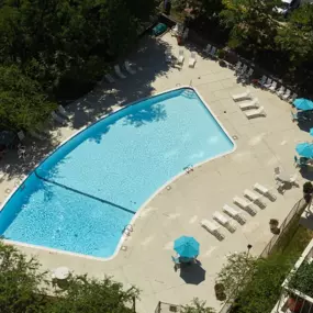 Aerial View of Swimming Pool