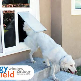 Pet door installation