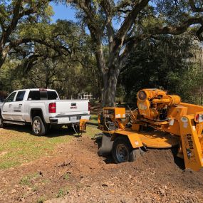 Bild von Bofinger's Tree Service