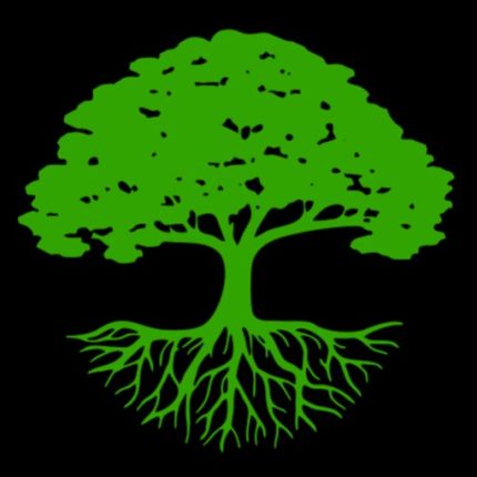 Logo da Bofinger's Tree Service